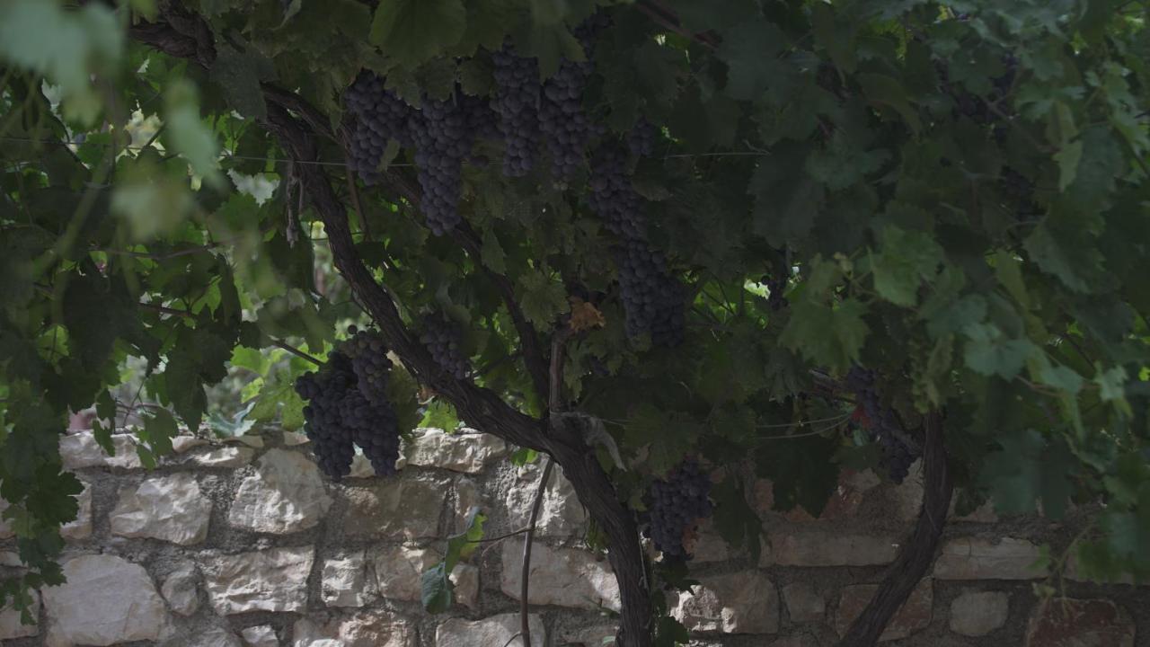 Albania-secret Village Den * Sarandë